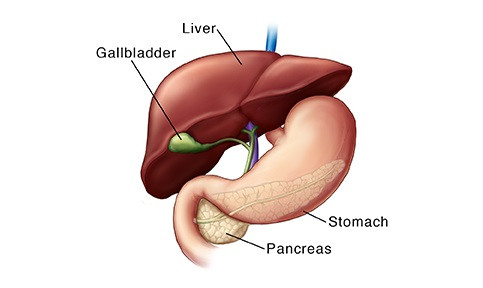 Sorry Liver And Gall Bladder Its Friday: Dr. Reckeweg R7 Drops