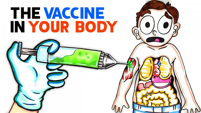 The Vaccine In Your Body~ Homoeopathy and Vaccinosis.