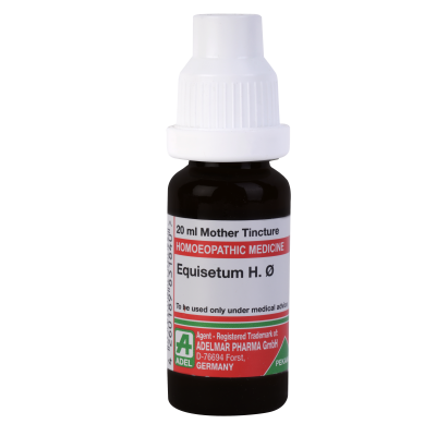 Adel Equisetum Hyemale 1X (Q) (20 ml)