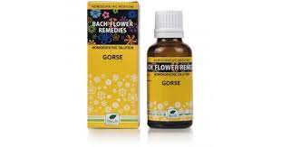 New Life Batch Flower Gorse (30 ml)