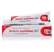 SBL Berberis Aquifolium Gel (25 gm)