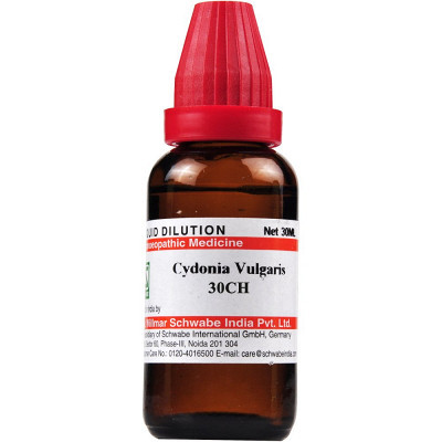 Willmar Schwabe India Cydonia Vulgaris30 CH (30 ml)
