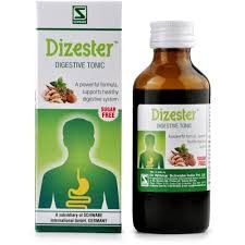 Willmar Schwabe India Dizester (Digestive Tonic) (100 ml)