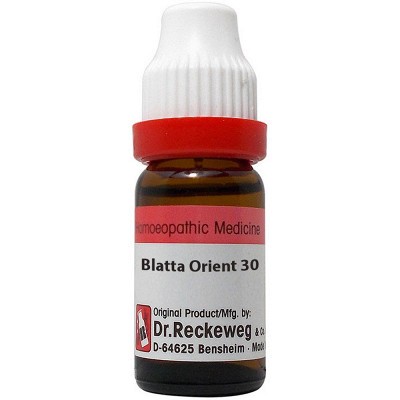 Blatta Orientalis