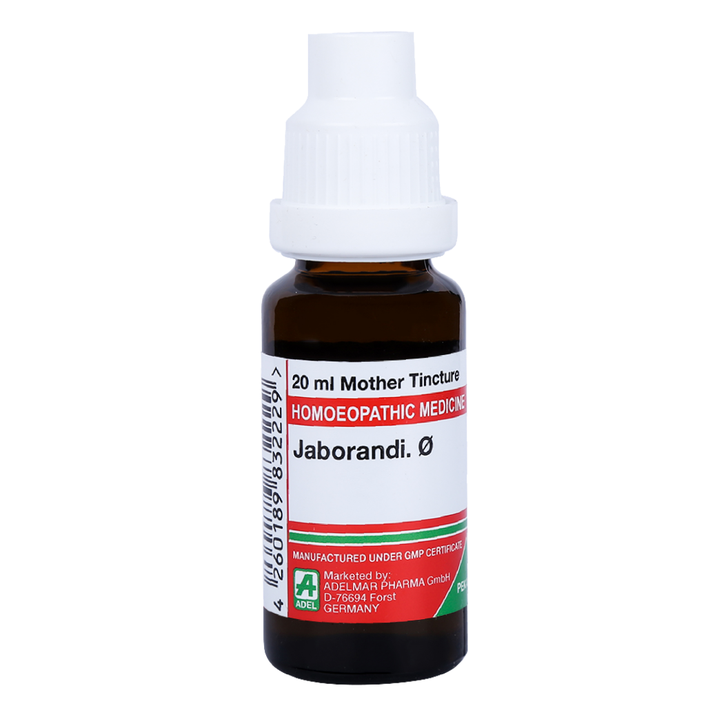 Adel Jaborandi 1X (Q) (20ml), Buy Adel Jaborandi 1X (Q) (20ml) Online at Best Price Adel Jaborandi 1X (Q) (20ml), Buy Adel Jaborandi 1X (Q) (20ml) Online at Best Price