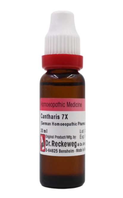Dr. Reckeweg Cantharis 7x (20 ml)