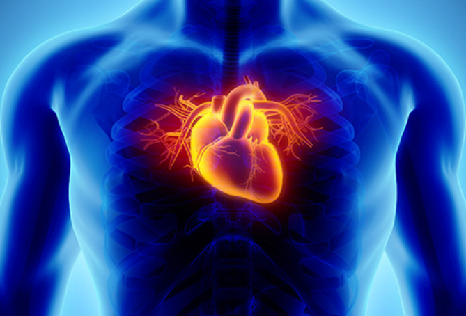 Homeopathy Medicine for Heart & Blood Circulation